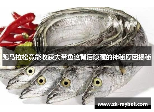 跑马拉松竟能收获大带鱼这背后隐藏的神秘原因揭秘