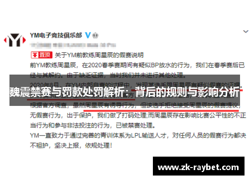 魏震禁赛与罚款处罚解析：背后的规则与影响分析